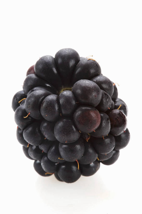 无人,竖图,俯视,室内,特写,白天,白色背景,桌面,桌子,黑莓,水果,阴影,新鲜,反射,木制,影子,生食,食品,果实,食物,一个,黑色,木制品,摄影,有机食品,绿色食品,影棚,单个,露莓,彩图,高角度拍摄,影棚拍摄,拍摄