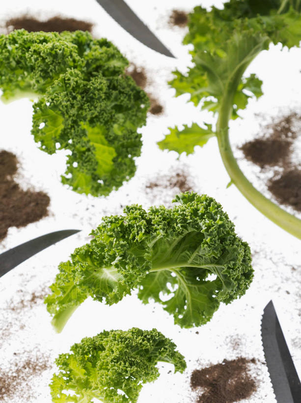 无人,竖图,俯视,室内,特写,白天,白色背景,餐桌,桌子,蔬菜,叶子,金属制品,阴影,新鲜,反射,金属,工具,影子,食品,绿叶,刀具,三把,利益,祝福,食物,刀,嫩叶,摄影,有机食品,绿色食品,影棚,餐台,菜刀,羽衣甘蓝,切菜刀,花包菜,绿叶甘蓝,叶牡丹,牡丹菜,华美,吉祥如意,叶,叶片,彩图,高角度拍摄,影棚拍摄,拍摄