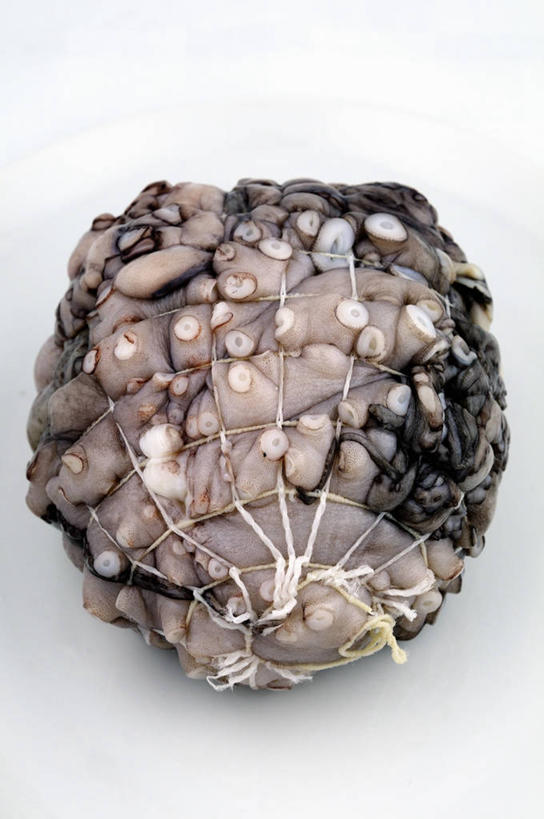 无人,竖图,俯视,室内,特写,白天,白色背景,餐桌,桌子,章鱼,阴影,反射,影子,肉,鱼肉,肉类,摄影,影棚,餐台,石吸,死牛,望潮,坐蛸,肉食,石居,八爪鱼,彩图,高角度拍摄,影棚拍摄,拍摄