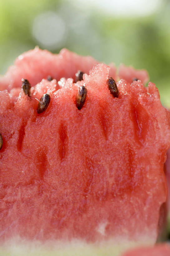 无人,竖图,室外,特写,白天,正面,西瓜,水果,一块,阴影,朦胧,模糊,新鲜,光线,影子,生食,食品,果实,食物,红色,阳光,有机食品,绿色食品,寒瓜,彩图