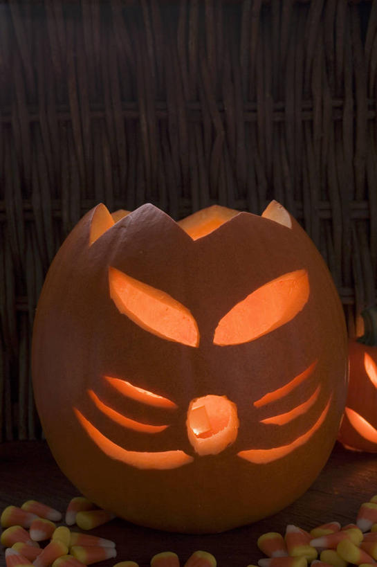 脸,头,脸颊,无人,竖图,室内,特写,白天,正面,南瓜,蔬菜,照明,一堆,许多,阴影,堆叠,堆积,节日,庆祝,新鲜,装饰,反射,影子,灯光,金瓜,食品,糖,糖果,甜点,甜品,软糖,文化,镂空,番瓜,灯,食物,灯具,甜食,庆典,南瓜灯,万圣节,有机食品,绿色食品,纪念,堆,华丽,修饰,麦瓜,倭瓜,照亮,点缀,照明设备,衬托,美观,雅致,雅观,镂刻,头部,脸部,脸蛋,面部,彩图,玉米糖