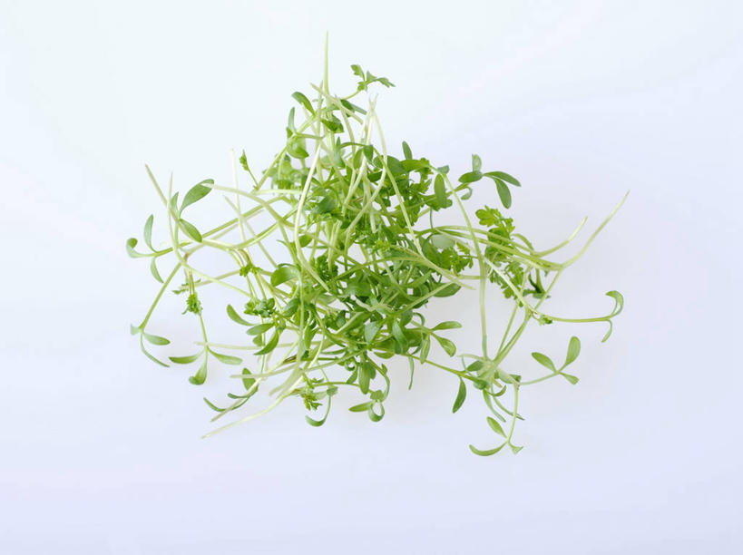 无人,横图,俯视,室内,特写,白天,白色背景,桌面,桌子,芹菜,蔬菜,叶子,阴影,新鲜,反射,木制,影子,食品,绿叶,食物,木制品,嫩叶,摄影,有机食品,绿色食品,影棚,根芹菜,根洋芹,球根塘蒿,叶,叶片,药芹,水芹,旱芹,彩图,高角度拍摄,影棚拍摄,拍摄