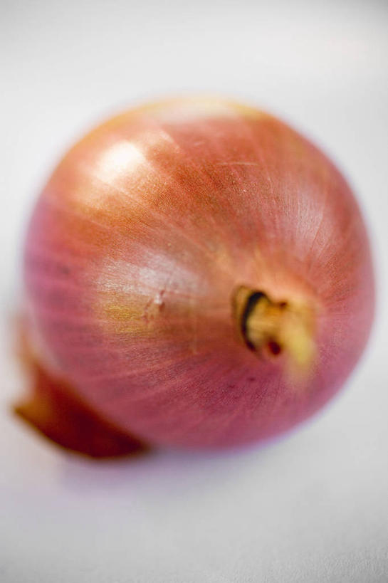 无人,竖图,俯视,室内,特写,白天,桌面,桌子,蔬菜,洋葱,阴影,灰色背景,新鲜,反射,木制,影子,食品,食物,一个,红色,木制品,摄影,有机食品,绿色食品,影棚,单个,玉葱,圆葱,洋葱头,球葱,葱头,彩图,高角度拍摄,影棚拍摄,拍摄,红洋葱