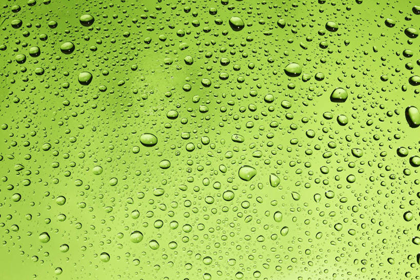 无人,横图,室内,特写,白天,正面,水,玻璃,阴影,朦胧,模糊,新鲜,反射,液体,影子,水滴,玻璃制品,绿色,青春,生命,和平,安详,冷色,彩图