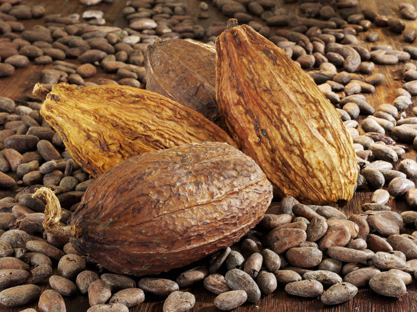 无人,横图,俯视,室内,特写,白天,餐桌,桌子,一堆,许多,阴影,堆叠,堆积,反射,影子,褐色,果实,种子,可可,餐台,堆,可可豆,可可子,彩图,高角度拍摄