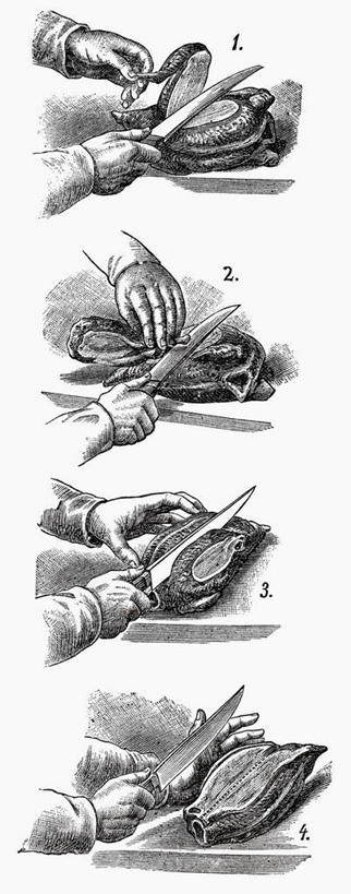 西方人,一个人,无人,竖图,黑白,插画,室内,特写,白天,白色背景,正面,数码,科技,金属制品,欧洲,欧洲人,仅一个男性,仅一个人,切开,阴影,网络,金属,工具,鸡肉,肉,案板,刀具,高光,几何,计算机图形,合成,图画,肉类,画,砧板,仅一个年轻男性,刀,切,电脑合成图,数码合成图,合成图,菜刀,漫画,剖面,肉食,切面,写实,具体,具象,切菜刀,步调,步骤,男人,男性,年轻男性,白种人,半身