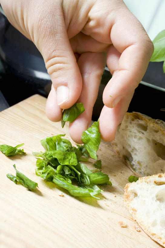 西方人,手,骨骼,一个人,竖图,俯视,室内,特写,白天,植物,叶子,欧洲,欧洲人,仅一个男性,仅一个人,握,排骨,肉,香料,绿叶,草药,案板,骨头,拿,拿着,猪肉,肉类,中药,砧板,仅一个年轻男性,香草,手部,嫩叶,握着,单手,罗勒,骨架,紫苏,小排,药材,中草药,肉食,豚肉,九层塔,圣约瑟夫草,甜罗勒,兰香,中药材,本草,男人,男性,年轻男性,白种人,叶,叶片,半身,彩图,高角度拍摄