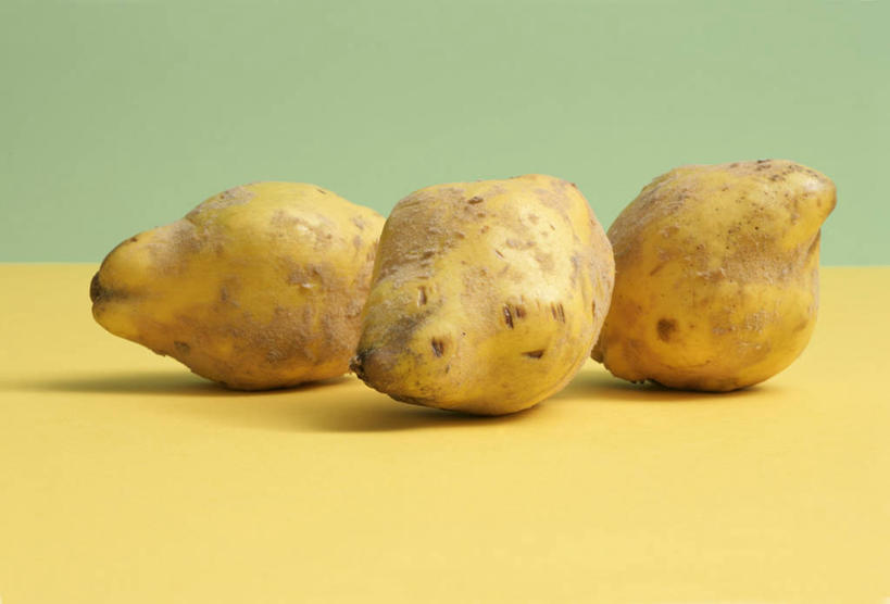 无人,横图,俯视,室内,特写,白天,桌面,桌子,水果,阴影,新鲜,反射,木制,影子,生食,食品,果实,食物,三个,黄色,木制品,摄影,有机食品,绿色食品,影棚,榅桲,木梨,彩图,高角度拍摄,影棚拍摄,拍摄,比也,金苹果,蛮檀,楔楂