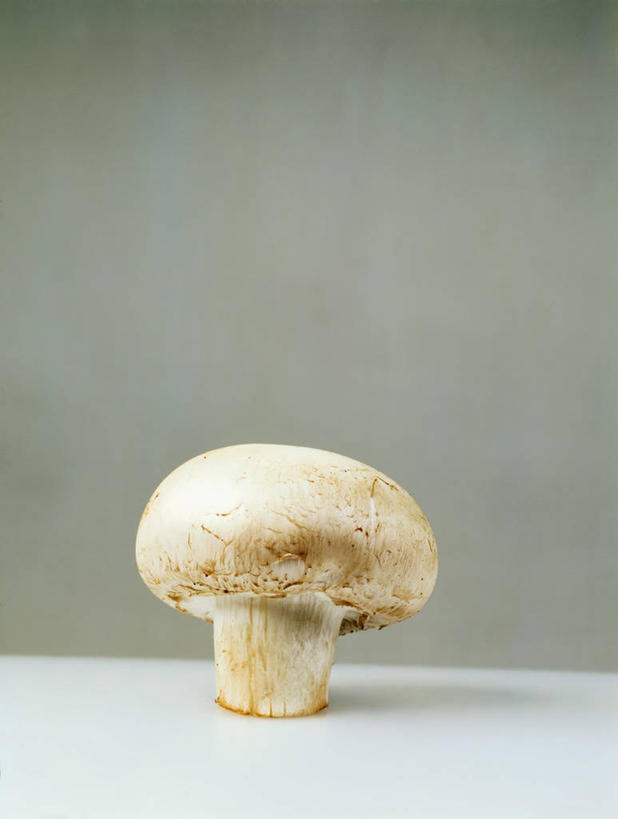 无人,竖图,俯视,室内,特写,白天,蔬菜,灰色背景,朦胧,模糊,新鲜,菌菇,蘑菇,食品,菌类,食物,一个,食用菌,摄影,有机食品,绿色食品,影棚,彩图,高角度拍摄,影棚拍摄,拍摄