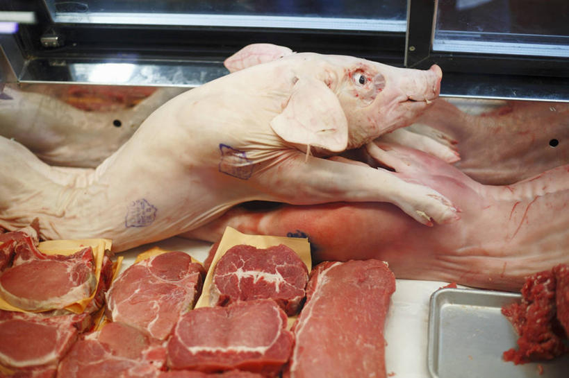 无人,商店,横图,俯视,室内,特写,白天,一堆,许多,堆叠,堆积,肉,商铺,猪肉,肉类,货架,架子,堆,陈列架,肉食,豚肉,超市货架,市肆,商号,彩图,高角度拍摄,店铺