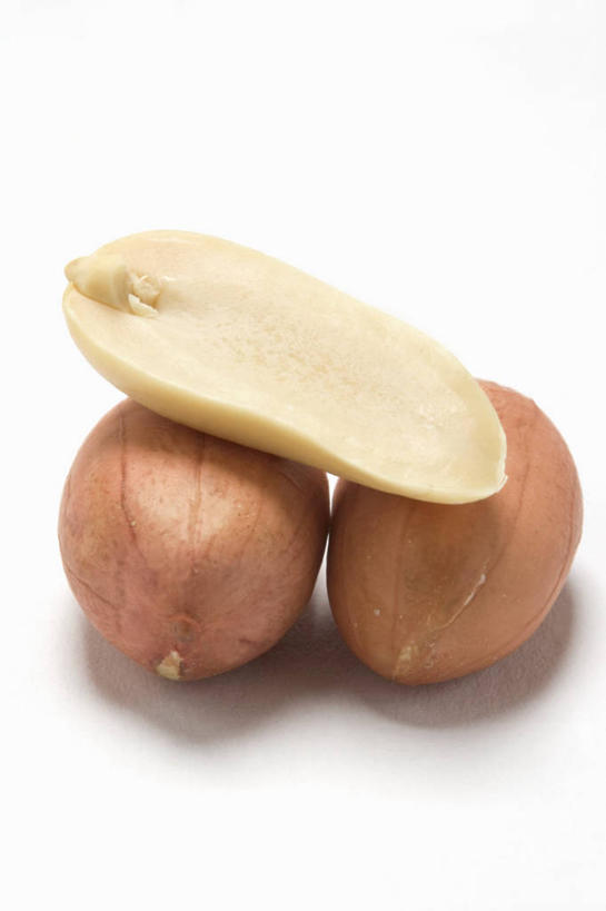 无人,竖图,俯视,室内,特写,白天,白色背景,植物,餐桌,桌子,豆,花生,阴影,反射,影子,豆类,豆子,坚果,三颗,摄影,长生果,影棚,餐台,花生仁,豆科,落花生,落生,花生米,花生豆,彩图,高角度拍摄,影棚拍摄,拍摄