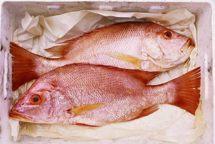 海鲜,无人,横图,俯视,室内,特写,白天,餐桌,桌子,两条,阴影,反射,鱼,包装,包装纸,影子,纸,纸张,水产,鱼类,海洋生物,红色,餐台,包装材料,水生动物,海产品,笛鲷,水生物,海底动物,四带笛鲷,彩图,高角度拍摄,全身