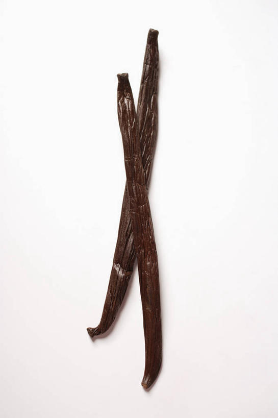 无人,竖图,俯视,室内,特写,白天,白色背景,植物,餐桌,桌子,两根,阴影,反射,影子,棕色,草药,药草,中药,清热,摄影,影棚,餐台,药材,中草药,香草兰,中药材,本草,解毒,婆绒花,山薄荷,石母草,彩图,高角度拍摄,影棚拍摄,拍摄