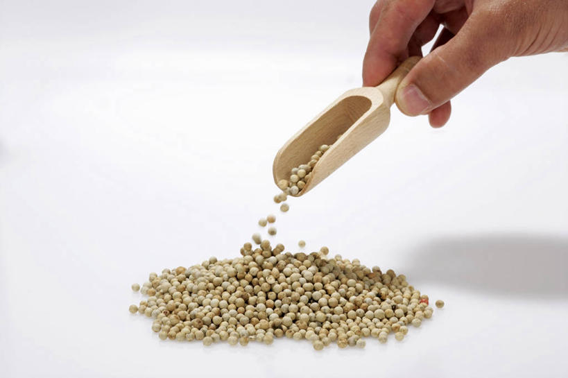 西方人,手,一个人,横图,室内,特写,白天,白色背景,正面,餐桌,桌子,欧洲,欧洲人,仅一个男性,仅一个人,仅一个中年男性,一堆,许多,握,阴影,堆叠,堆积,反射,木制,影子,勺子,调料,调味,香料,佐料,调味品,很多,拿,调味料,拿着,一个,木制品,调羹,汤匙,手部,握着,摄影,影棚,单个,餐台,堆,单手,白胡椒,配料,作料,男人,男性,中年男性,白种人,胡椒,半身,彩图,影棚拍摄,拍摄