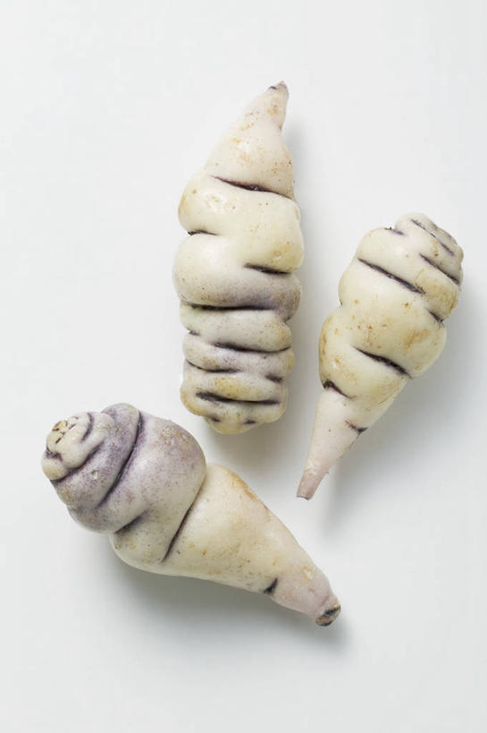 无人,竖图,俯视,室内,特写,白天,白色背景,餐桌,桌子,蔬菜,阴影,新鲜,反射,影子,食品,食物,三个,白色,摄影,有机食品,绿色食品,影棚,餐台,酸模,野菠菜,皱叶羊蹄,体贴,山菠菜,山大黄,彩图,高角度拍摄,影棚拍摄,拍摄