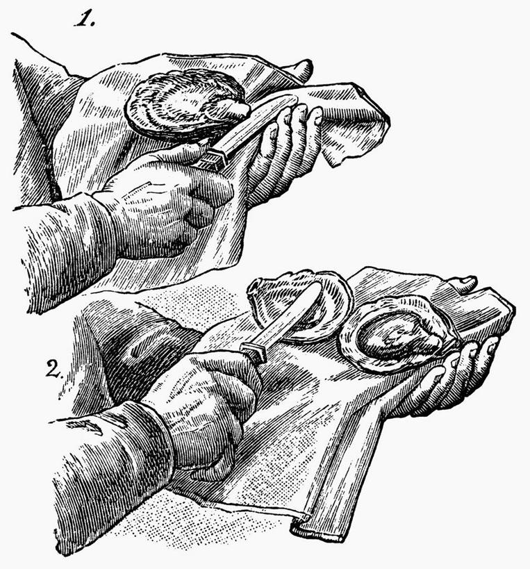 海鲜,西方人,手,一个人,无人,竖图,插画,室内,特写,白天,正面,数码,科技,欧洲,欧洲人,双手,仅一个男性,仅一个人,一把,握,阴影,服装,反射,网络,标志,布料,工具,数字,文字,影子,字符,刀具,牡蛎,高光,几何,计算机图形,合成,布纹,图画,休闲装,标识,水产,海洋生物,画,桌布,仅一个年轻男性,衣服,餐巾,台布,刀,休闲,手部,休闲服,握着,阿拉伯数字,服饰,生蚝,电脑合成图,数码合成图,合成图,水生动物,海产品,水生物,漫画,海底动物,牡蛎刀,写实,具体,具象,步调,步骤,男人,男性,年轻男性,白种人,半身,彩图