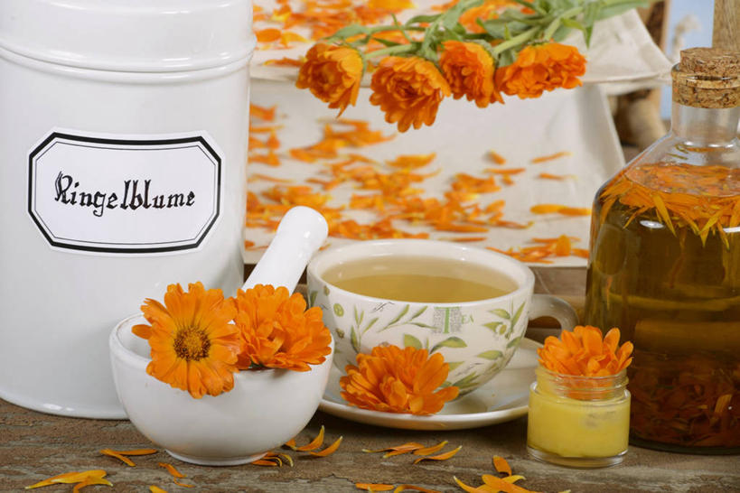 无人,横图,俯视,室内,特写,白天,幸福,餐桌,茶,桌子,玻璃,阴影,盛开,反射,英文,标志,文字,影子,字符,字母,茶叶,饮品,花蕾,娱乐,标识,玻璃制品,花,花瓣,花朵,鲜花,玻璃瓶,瓶子,花茶,花苞,花蕊,享受,休闲,温馨,放松,乐趣,保健,养生,餐台,英文字母,花草茶,分别,舒适,广口瓶,离别,香花茶,香片,熏花茶,长生菊,黄金盏,金盏花,金盏菊,醒酒花,惜别,彩图,高角度拍摄