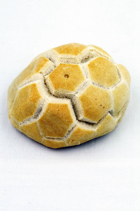 点心,面包,无人,竖图,俯视,室内,特写,白天,白色背景,烹饪,西餐,餐桌,桌子,阴影,反射,影子,三明治,料理,食品,面点,菜肴,美食,食物,糕点,一个,快餐,西式,摄影,佳肴,影棚,单个,餐台,西式快餐,三文治,彩图,高角度拍摄,影棚拍摄,拍摄,帕尼尼,帕尼诺