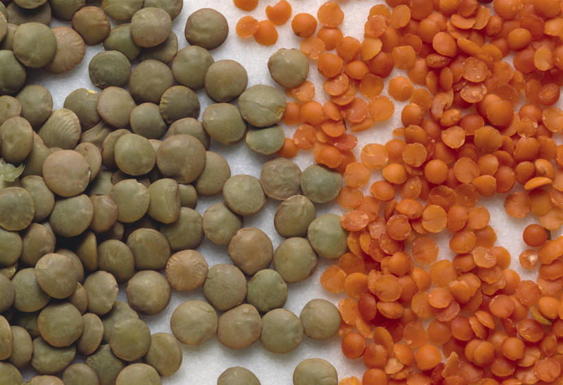 无人,横图,俯视,室内,特写,白天,白色背景,植物,桌面,桌子,豆,扁豆,蔬菜,一堆,许多,阴影,堆叠,堆积,新鲜,反射,木制,影子,豆类,豆子,食品,食物,绿色,木制品,橙色,摄影,有机食品,绿色食品,影棚,堆,豆科,白扁豆,羊眼豆,沿篱豆,小刀豆,藤豆,树豆,膨皮豆,南豆,南扁豆,凉衍豆,蛾眉豆,茶豆,藊豆,彩图,高角度拍摄,影棚拍摄,拍摄