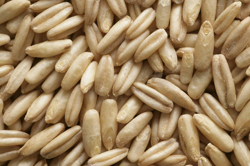 无人,横图,俯视,室内,特写,白天,一堆,许多,堆叠,堆积,燕麦,很多,堆,玉麦,铃铛麦,裸燕麦,雀麦,野麦,莜麦,彩图,高角度拍摄