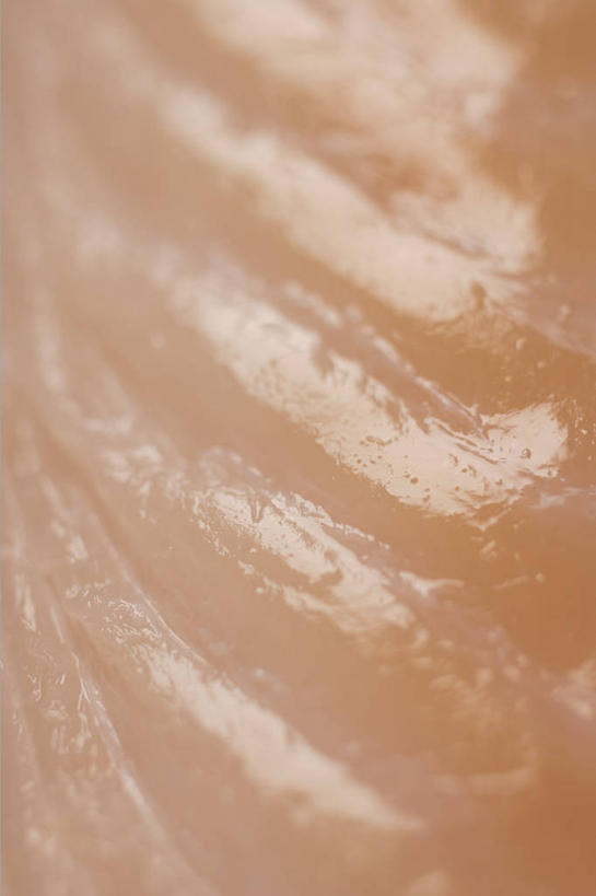 海鲜,生鱼片,无人,竖图,俯视,室内,特写,白天,一块,阴影,反射,鱼,影子,肉,鱼肉,鱼片,水产,肉类,鱼类,海洋生物,水生动物,海产品,水生物,肉食,海底动物,鳕鱼,沙西米,鳘鱼,彩图,高角度拍摄,刺身