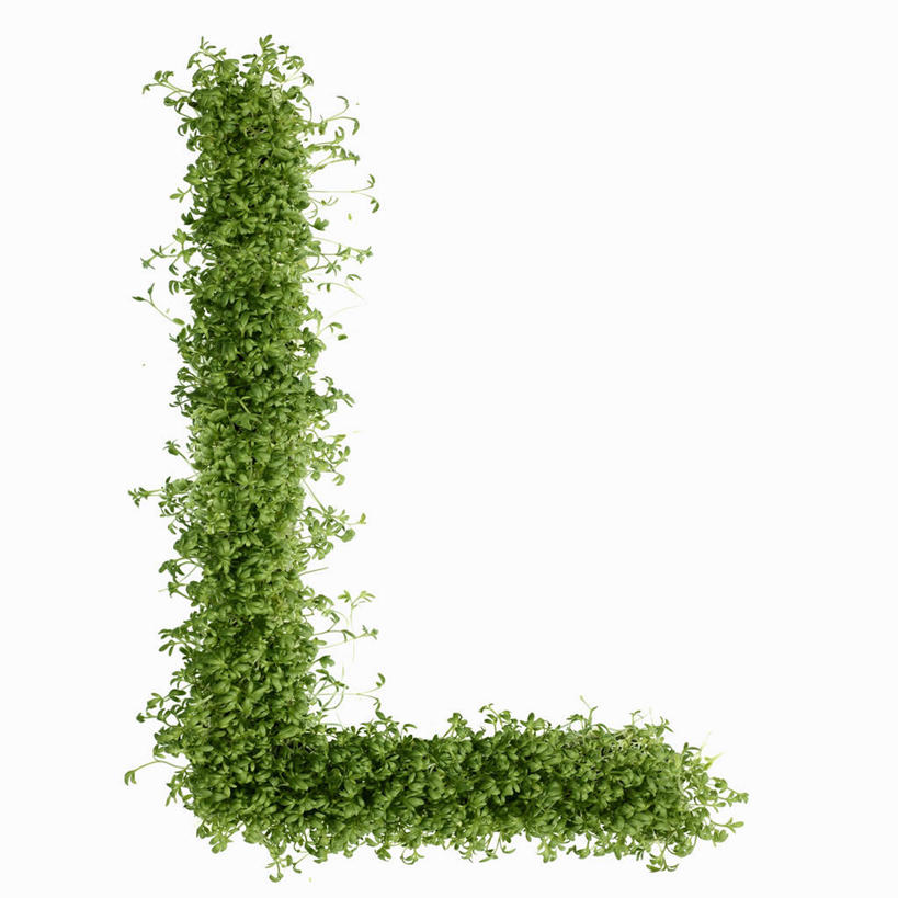 无人,方图,俯视,室内,特写,白天,白色背景,餐桌,桌子,芹菜,蔬菜,阴影,新鲜,反射,英文,标志,文字,影子,字符,字母,食品,标识,食物,绿色,摄影,有机食品,绿色食品,影棚,餐台,英文字母,根芹菜,根洋芹,球根塘蒿,药芹,水芹,旱芹,彩图,高角度拍摄,影棚拍摄,拍摄