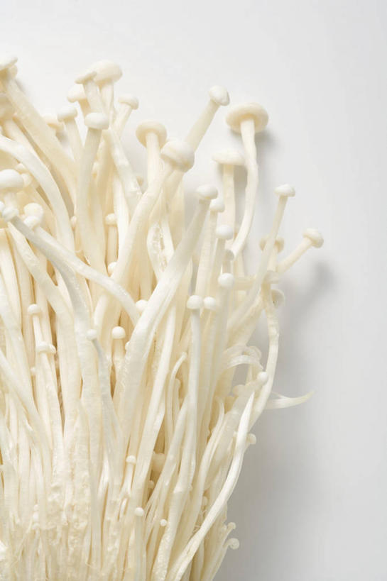 无人,竖图,俯视,室内,特写,白天,白色背景,餐桌,桌子,蔬菜,一堆,许多,阴影,堆叠,堆积,新鲜,反射,影子,金针菇,菌菇,食品,菌类,食物,白色,食用菌,摄影,有机食品,绿色食品,影棚,餐台,堆,构菌,金菇,毛柄金钱菌,银针菇,智力菇,彩图,高角度拍摄,影棚拍摄,拍摄