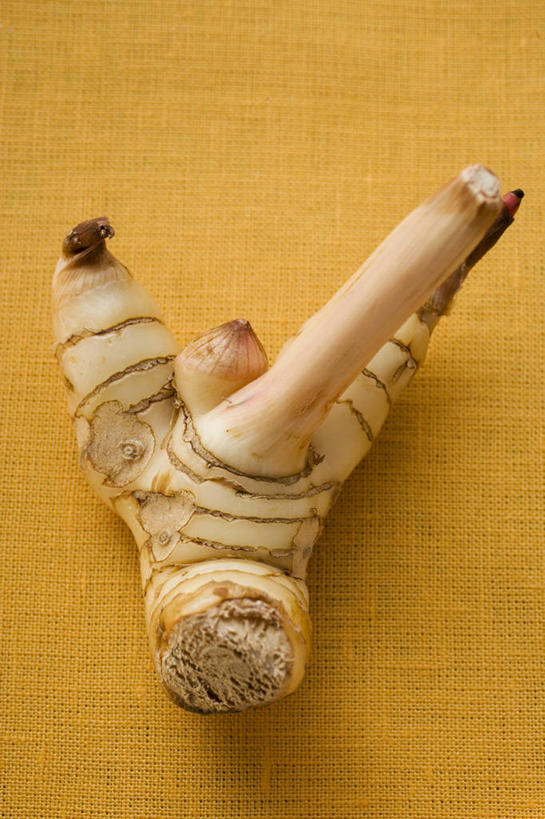 无人,竖图,俯视,室内,特写,白天,植物,餐桌,桌子,阴影,黄色背景,反射,影子,调味,香料,佐料,草药,药草,中药,摄影,影棚,餐台,配料,药材,中草药,高良姜,中药材,本草,作料,风姜,枫姜,高凉姜,良姜,蛮姜,小良姜,彩图,高角度拍摄,影棚拍摄,拍摄