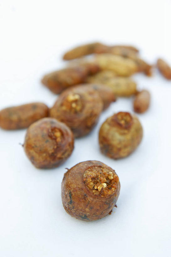 内脏,动脉,静脉,无人,竖图,俯视,室内,特写,白天,白色背景,桌面,桌子,阴影,朦胧,模糊,反射,医学,木制,影子,肉,香肠,牛肉,腊肠,肉类,模型,木制品,摄影,影棚,生物学,器官,肉食,生理学,动物器官,彩图,高角度拍摄,影棚拍摄,拍摄