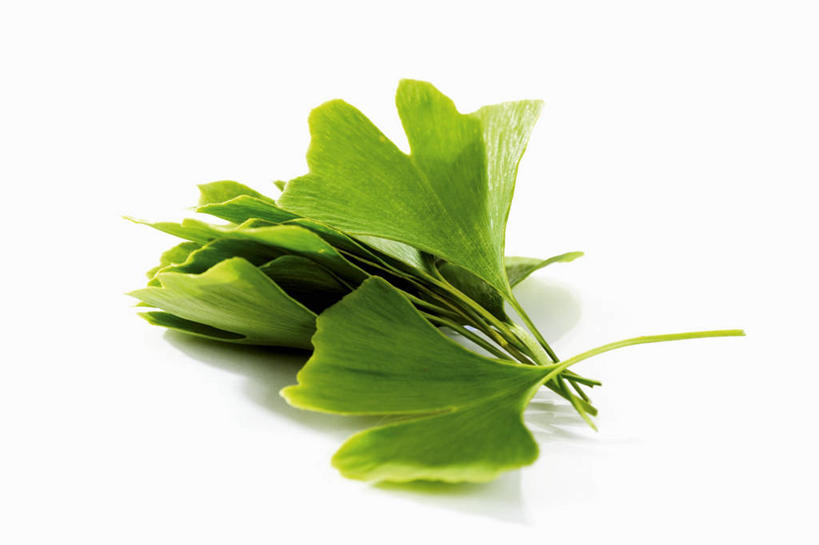 无人,横图,俯视,室内,特写,白天,白色背景,植物,桌面,桌子,叶子,一堆,许多,阴影,堆叠,堆积,朦胧,模糊,反射,木制,影子,草药,药草,中药,树叶,木制品,银杏叶,摄影,影棚,堆,药材,中草药,中药材,本草,白果叶,叶片,彩图,高角度拍摄,影棚拍摄,拍摄