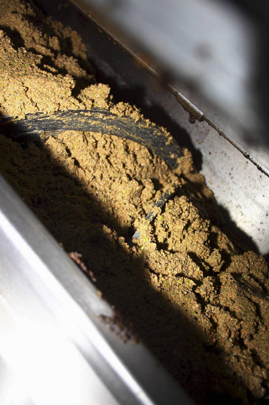 无人,竖图,俯视,室内,特写,白天,一堆,阴影,堆叠,堆积,反射,粉末,影子,食用油,油,橄榄油,粉,堆,植物油,粉状,粉剂,彩图,高角度拍摄