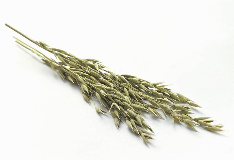 无人,横图,俯视,室内,特写,白天,白色背景,餐桌,桌子,阴影,反射,影子,燕麦,摄影,影棚,餐台,玉麦,铃铛麦,裸燕麦,雀麦,野麦,莜麦,彩图,高角度拍摄,影棚拍摄,拍摄