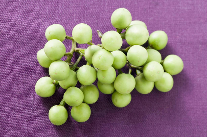 无人,横图,俯视,室内,特写,白天,餐桌,桌子,茄子,蔬菜,许多,阴影,紫色背景,新鲜,反射,影子,食品,很多,食物,绿色,摄影,有机食品,绿色食品,影棚,餐台,落苏,酪酥,昆仑瓜,矮瓜,彩图,高角度拍摄,影棚拍摄,拍摄,袖珍茄子