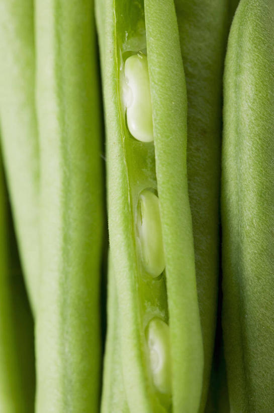 无人,竖图,室内,特写,白天,正面,植物,餐桌,桌子,豆,蔬菜,阴影,新鲜,反射,影子,豆类,豆子,食品,食物,有机食品,绿色食品,餐台,豆科,青大豆,青豆,彩图