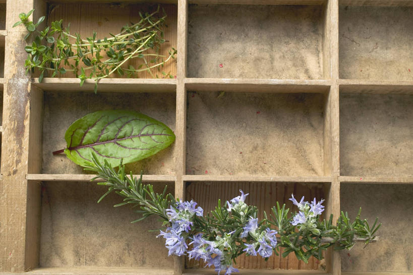 无人,横图,俯视,室内,特写,白天,阴影,芳香,盛开,反射,木制,木盒,影子,花蕾,花,花瓣,花朵,鲜花,一个,木制品,容器,香草,花苞,花蕊,摄影,影棚,单个,储藏,吉祥,百里香,迷迭香,麝香草,储存,如意,海洋之露,勇气,勇敢,地椒,自尊,不屈,酸模,野菠菜,皱叶羊蹄,体贴,山菠菜,山大黄,平安,彩图,高角度拍摄,影棚拍摄,拍摄,贮存