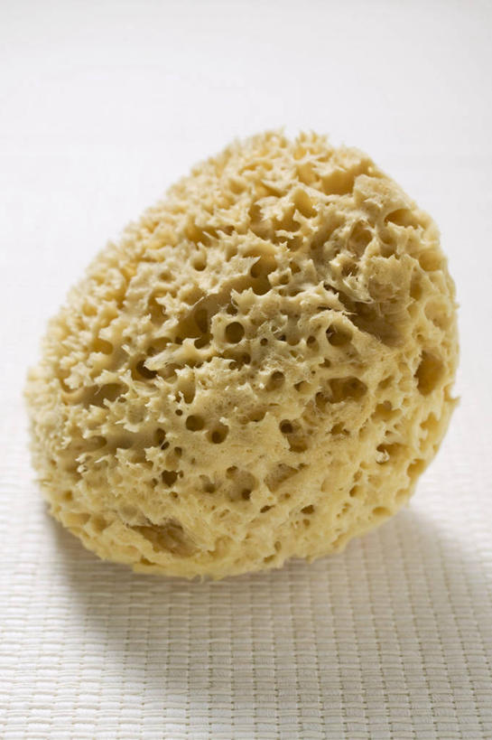 无人,竖图,俯视,室内,特写,白天,白色背景,化妆,美容,餐桌,桌子,静物,一块,护肤,阴影,反射,海绵,影子,黄色,清洁,保养,享受,休闲,放松,保健,摄影,影棚,餐台,养颜,洗脸海绵,洗脸扑,洗脸绵,彩图,高角度拍摄,影棚拍摄,拍摄