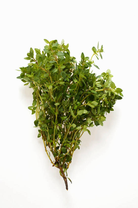 无人,竖图,俯视,室内,特写,白天,白色背景,餐桌,桌子,叶子,阴影,芳香,反射,影子,绿叶,香草,嫩叶,摄影,影棚,餐台,吉祥,百里香,麝香草,如意,勇气,勇敢,地椒,自尊,不屈,平安,叶,叶片,彩图,高角度拍摄,影棚拍摄,拍摄