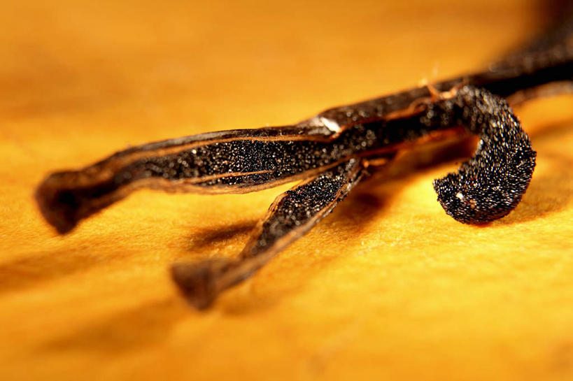 无人,横图,俯视,室内,特写,白天,植物,桌面,桌子,阴影,反射,木制,影子,草药,药草,中药,两个,黑色,木制品,清热,摄影,影棚,药材,中草药,香草兰,中药材,本草,解毒,婆绒花,山薄荷,石母草,彩图,高角度拍摄,影棚拍摄,拍摄