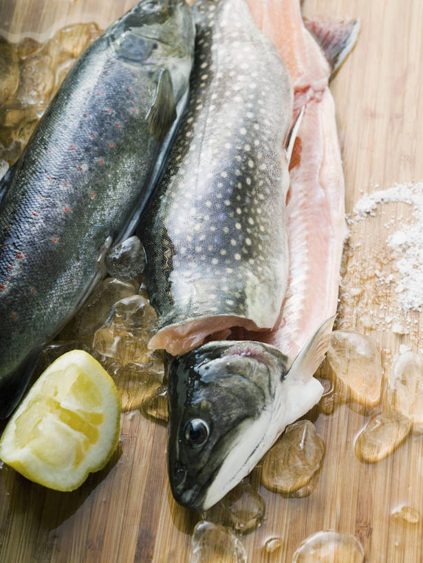 三文鱼,无人,竖图,俯视,室内,特写,白天,餐桌,桌子,鲑鱼,柠檬,水果,切开,阴影,新鲜,反射,影子,冰,肉,生食,鱼肉,冰块,食品,果实,冷冻,肉类,食物,切,寒冷,有机食品,绿色食品,冷藏,餐台,大马哈鱼,冰冷,剖面,肉食,切面,撒蒙鱼,萨门鱼,冰海之皇,鲑,马哈鱼,麻哈鱼,大麻哈鱼,保鲜,益母果,柠果,彩图,高角度拍摄,红点鲑