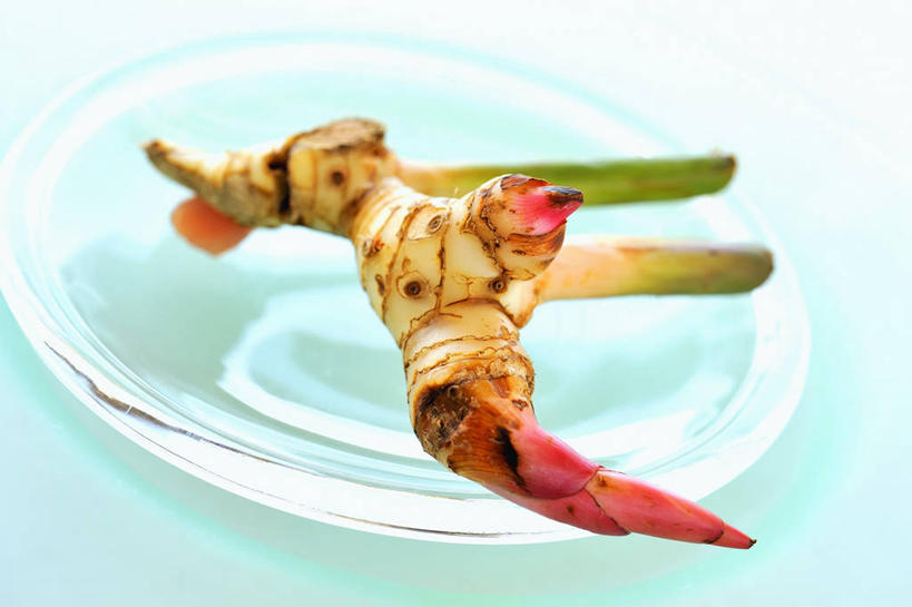 无人,横图,俯视,室内,特写,白天,植物,餐桌,桌子,蔬菜,餐具,玻璃,阴影,新鲜,反射,碟子,盘,影子,食品,草药,药草,中药,玻璃制品,食物,一个,盘子,碟,有机食品,绿色食品,单个,餐台,药材,中草药,高良姜,中药材,本草,风姜,枫姜,高凉姜,良姜,蛮姜,小良姜,彩图,高角度拍摄