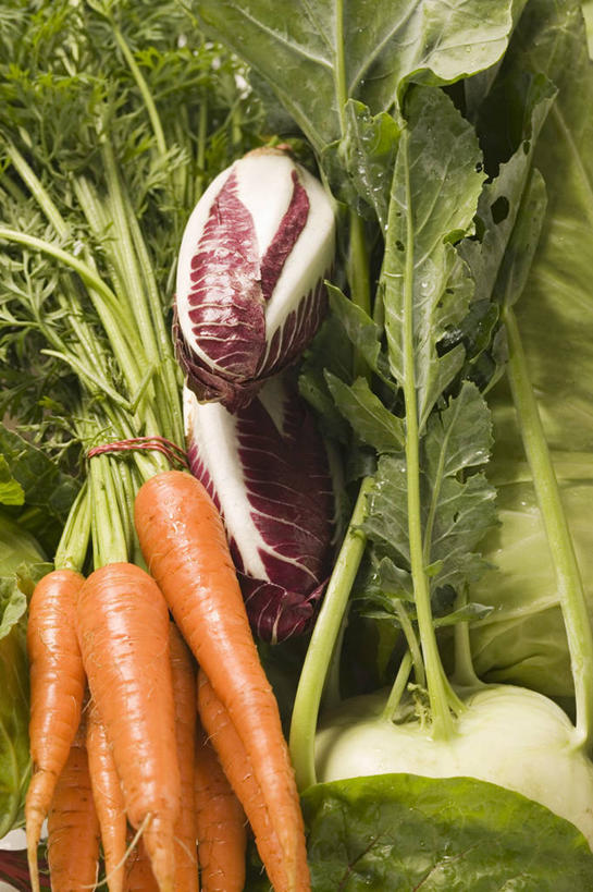 无人,竖图,俯视,室内,特写,白天,萝卜,胡萝卜,蔬菜,叶子,一堆,许多,阴影,堆叠,堆积,新鲜,反射,影子,菊苣,食品,绿叶,药草,食物,橙色,嫩叶,芥菜,有机食品,绿色食品,堆,药材,大头菜,盖菜,叶,叶片,红萝卜,甘荀,彩图,高角度拍摄