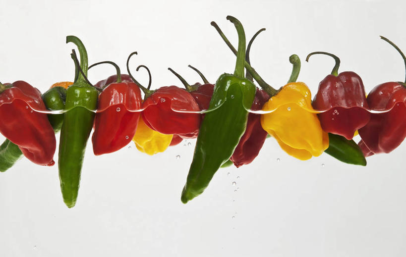 无人,横图,室内,特写,白天,白色背景,正面,辣椒,蔬菜,一排,许多,阴影,新鲜,整齐,反射,影子,青椒,调味,香料,佐料,食品,食物,排列,黄色,红色,绿色,摄影,有机食品,绿色食品,影棚,配料,队列,辣角,红海椒,大椒,辣虎,广椒,菜椒,作料,甜椒,柿子椒,辣子,红辣椒,海椒,番椒,灯笼椒,彩图,影棚拍摄,拍摄