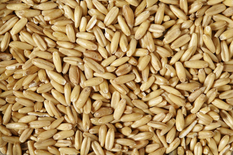 无人,横图,俯视,室内,特写,白天,一堆,许多,阴影,堆叠,堆积,朦胧,模糊,反射,影子,燕麦,堆,玉麦,铃铛麦,裸燕麦,雀麦,野麦,莜麦,彩图,高角度拍摄