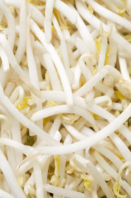 无人,竖图,俯视,室内,特写,白天,蔬菜,一堆,许多,阴影,堆叠,堆积,新鲜,反射,影子,豆芽,黄豆芽,食品,食物,有机食品,绿色食品,堆,豆芽菜,芽苗菜,彩图,高角度拍摄