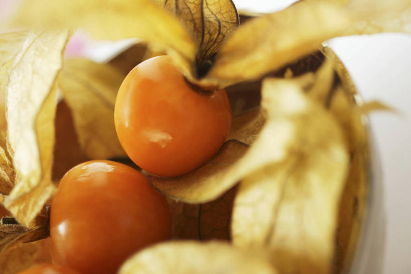 无人,横图,俯视,室内,特写,白天,浆果,水果,朦胧,模糊,新鲜,陶瓷,灯笼果,生食,食品,果实,陶瓷制品,食物,一个,黄色,容器,碗,有机食品,绿色食品,单个,储藏,储存,秘鲁苦蘵,小果酸浆,醋栗,彩图,高角度拍摄,贮存