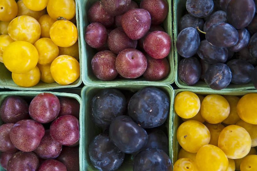 无人,横图,俯视,室内,特写,白天,餐桌,桌子,李子,水果,一堆,一排,许多,阴影,堆叠,堆积,新鲜,整齐,并列,并排,反射,包装,影子,纸箱,生食,食品,果实,很多,食物,排列,黄色,紫色,黑色,容器,箱子,有机食品,绿色食品,餐台,堆,队列,纸板箱,平行,包装箱,红李,鸡血李,杏李,布拉斯李,黄香李,彩图,高角度拍摄