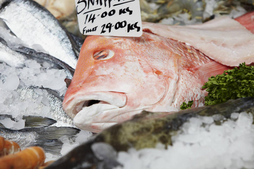 海鲜,无人,横图,俯视,室内,特写,白天,购物,消费,阴影,反射,英文,鱼,标签,标志,数字,文字,影子,字符,字母,虾,集市,市场,标识,水产,鱼类,大虾,海洋生物,价格,金融,阿拉伯数字,对虾,英文字母,水生动物,海产品,水生物,选购,贸易,海底动物,斑节虾,价钱,代价,东方对虾,中国对虾,彩图,高角度拍摄,鱼市