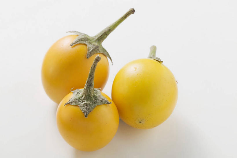 无人,横图,俯视,室内,特写,白天,白色背景,餐桌,桌子,茄子,蔬菜,阴影,新鲜,反射,影子,食品,食物,三个,黄色,摄影,有机食品,绿色食品,影棚,餐台,落苏,酪酥,昆仑瓜,矮瓜,彩图,高角度拍摄,影棚拍摄,拍摄,袖珍茄子