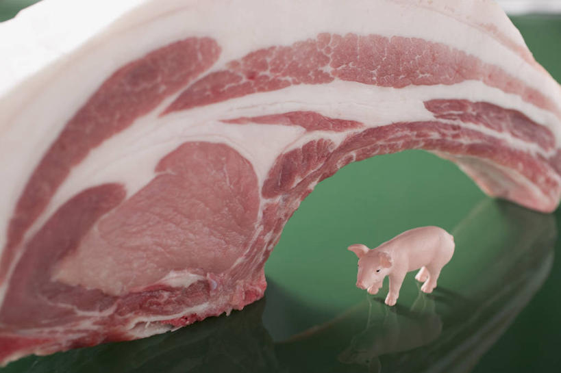 骨骼,无人,站,横图,俯视,室内,特写,白天,游戏,餐桌,桌子,猪,玩具,一块,切开,阴影,反射,影子,排骨,肉,骨头,玩,娱乐,猪肉,肉类,一只,动物,切,站着,休闲,大排,家畜,益智,牲畜,餐台,活动,骨架,发泄,消遣,智力,剖面,肉食,切面,豚肉,宣泄,玩耍,嬉戏,站立,彩图,高角度拍摄,全身