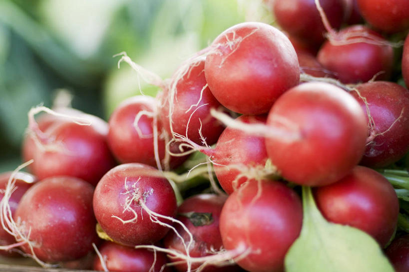 无人,横图,室内,特写,白天,正面,萝卜,蔬菜,叶子,一堆,许多,阴影,堆叠,堆积,朦胧,模糊,新鲜,反射,影子,食品,绿叶,食物,红色,嫩叶,有机食品,绿色食品,水萝卜,堆,叶,叶片,彩图